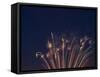 Fireworks Celebrating the 4th of July, Miami, Florida, USA-Angelo Cavalli-Framed Stretched Canvas