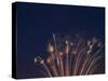 Fireworks Celebrating the 4th of July, Miami, Florida, USA-Angelo Cavalli-Stretched Canvas