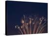 Fireworks Celebrating the 4th of July, Miami, Florida, USA-Angelo Cavalli-Stretched Canvas