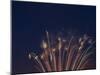 Fireworks Celebrating the 4th of July, Miami, Florida, USA-Angelo Cavalli-Mounted Photographic Print