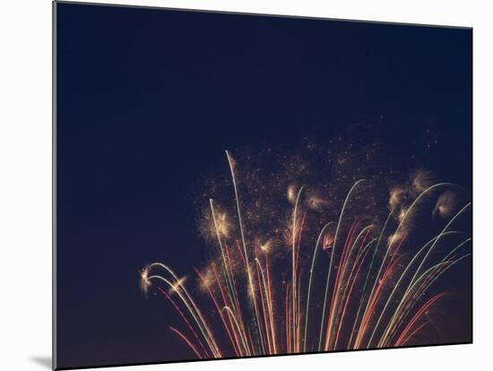 Fireworks Celebrating the 4th of July, Miami, Florida, USA-Angelo Cavalli-Mounted Photographic Print
