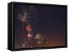 Fireworks Celebrating the 4th of July, Miami, Florida, USA-Angelo Cavalli-Framed Stretched Canvas