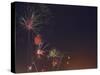 Fireworks Celebrating the 4th of July, Miami, Florida, USA-Angelo Cavalli-Stretched Canvas