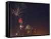 Fireworks Celebrating the 4th of July, Miami, Florida, USA-Angelo Cavalli-Framed Stretched Canvas