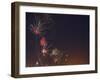 Fireworks Celebrating the 4th of July, Miami, Florida, USA-Angelo Cavalli-Framed Photographic Print