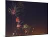 Fireworks Celebrating the 4th of July, Miami, Florida, USA-Angelo Cavalli-Mounted Photographic Print