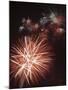 Fireworks Celebrating the 4th of July, Miami, Florida, USA-Angelo Cavalli-Mounted Photographic Print