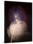 Fireworks Celebrating the 4th of July, Miami, Florida, USA-Angelo Cavalli-Stretched Canvas