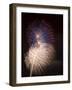 Fireworks Celebrating the 4th of July, Miami, Florida, USA-Angelo Cavalli-Framed Photographic Print