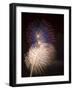 Fireworks Celebrating the 4th of July, Miami, Florida, USA-Angelo Cavalli-Framed Photographic Print