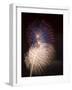 Fireworks Celebrating the 4th of July, Miami, Florida, USA-Angelo Cavalli-Framed Photographic Print