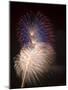 Fireworks Celebrating the 4th of July, Miami, Florida, USA-Angelo Cavalli-Mounted Photographic Print