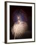 Fireworks Celebrating the 4th of July, Miami, Florida, USA-Angelo Cavalli-Framed Photographic Print