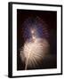 Fireworks Celebrating the 4th of July, Miami, Florida, USA-Angelo Cavalli-Framed Photographic Print