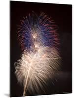 Fireworks Celebrating the 4th of July, Miami, Florida, USA-Angelo Cavalli-Mounted Photographic Print