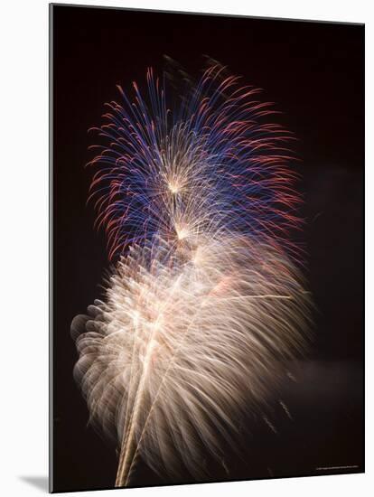 Fireworks Celebrating the 4th of July, Miami, Florida, USA-Angelo Cavalli-Mounted Photographic Print