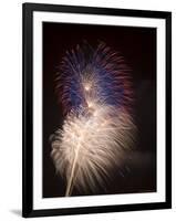 Fireworks Celebrating the 4th of July, Miami, Florida, USA-Angelo Cavalli-Framed Photographic Print