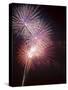 Fireworks Celebrating the 4th of July, Miami, Florida, USA-Angelo Cavalli-Stretched Canvas