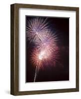 Fireworks Celebrating the 4th of July, Miami, Florida, USA-Angelo Cavalli-Framed Photographic Print