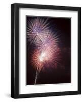 Fireworks Celebrating the 4th of July, Miami, Florida, USA-Angelo Cavalli-Framed Photographic Print