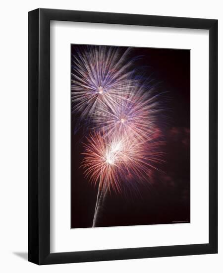 Fireworks Celebrating the 4th of July, Miami, Florida, USA-Angelo Cavalli-Framed Photographic Print