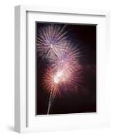 Fireworks Celebrating the 4th of July, Miami, Florida, USA-Angelo Cavalli-Framed Photographic Print