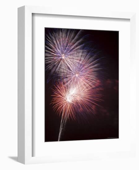 Fireworks Celebrating the 4th of July, Miami, Florida, USA-Angelo Cavalli-Framed Photographic Print