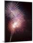 Fireworks Celebrating the 4th of July, Miami, Florida, USA-Angelo Cavalli-Mounted Photographic Print