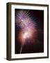 Fireworks Celebrating the 4th of July, Miami, Florida, USA-Angelo Cavalli-Framed Photographic Print