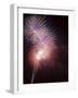 Fireworks Celebrating the 4th of July, Miami, Florida, USA-Angelo Cavalli-Framed Photographic Print