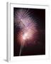 Fireworks Celebrating the 4th of July, Miami, Florida, USA-Angelo Cavalli-Framed Photographic Print