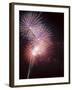 Fireworks Celebrating the 4th of July, Miami, Florida, USA-Angelo Cavalli-Framed Photographic Print