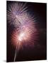 Fireworks Celebrating the 4th of July, Miami, Florida, USA-Angelo Cavalli-Mounted Photographic Print