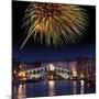 Fireworks Display, Venice-Tony Craddock-Mounted Photographic Print
