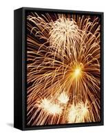 Fireworks Display-Steve Bavister-Framed Stretched Canvas