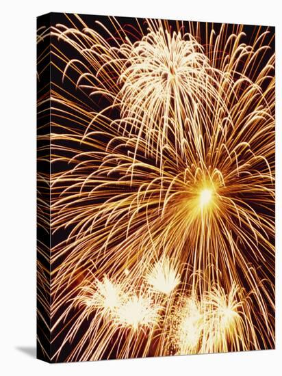 Fireworks Display-Steve Bavister-Stretched Canvas