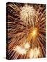 Fireworks Display-Steve Bavister-Stretched Canvas
