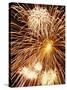 Fireworks Display-Steve Bavister-Stretched Canvas