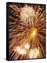 Fireworks Display-Steve Bavister-Framed Stretched Canvas