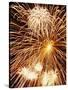 Fireworks Display-Steve Bavister-Stretched Canvas