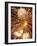 Fireworks Display-Steve Bavister-Framed Photographic Print