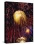 Fireworks Display-Steve Bavister-Stretched Canvas