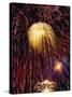 Fireworks Display-Steve Bavister-Stretched Canvas