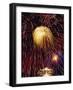 Fireworks Display-Steve Bavister-Framed Photographic Print