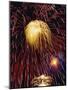 Fireworks Display-Steve Bavister-Mounted Photographic Print