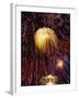 Fireworks Display-Steve Bavister-Framed Photographic Print