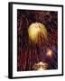 Fireworks Display-Steve Bavister-Framed Photographic Print