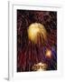 Fireworks Display-Steve Bavister-Framed Photographic Print