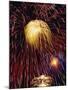 Fireworks Display-Steve Bavister-Mounted Photographic Print