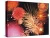 Fireworks Display-null-Stretched Canvas